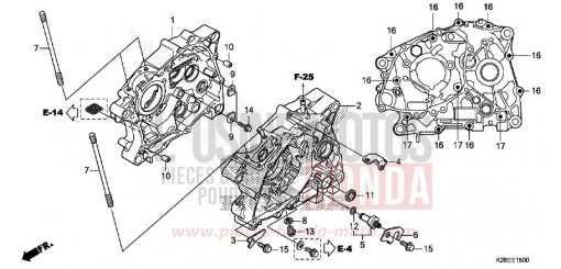 CARTER MOTEUR CRF125FN de 2022